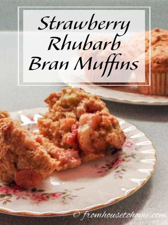 Strawberry Rhubarb Bran Muffins | These Strawberry Rhubarb Bran Muffins are a delicious version of the standard bran muffin. They're quick and easy to make, and can be frozen to serve later.