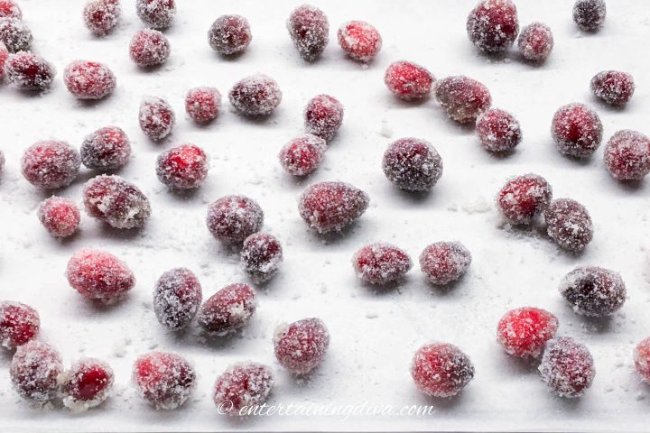 sparkling sugared cranberries on a cookie sheet