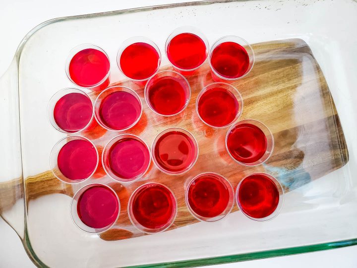 Filled jello shot cups in a shallow baking dish