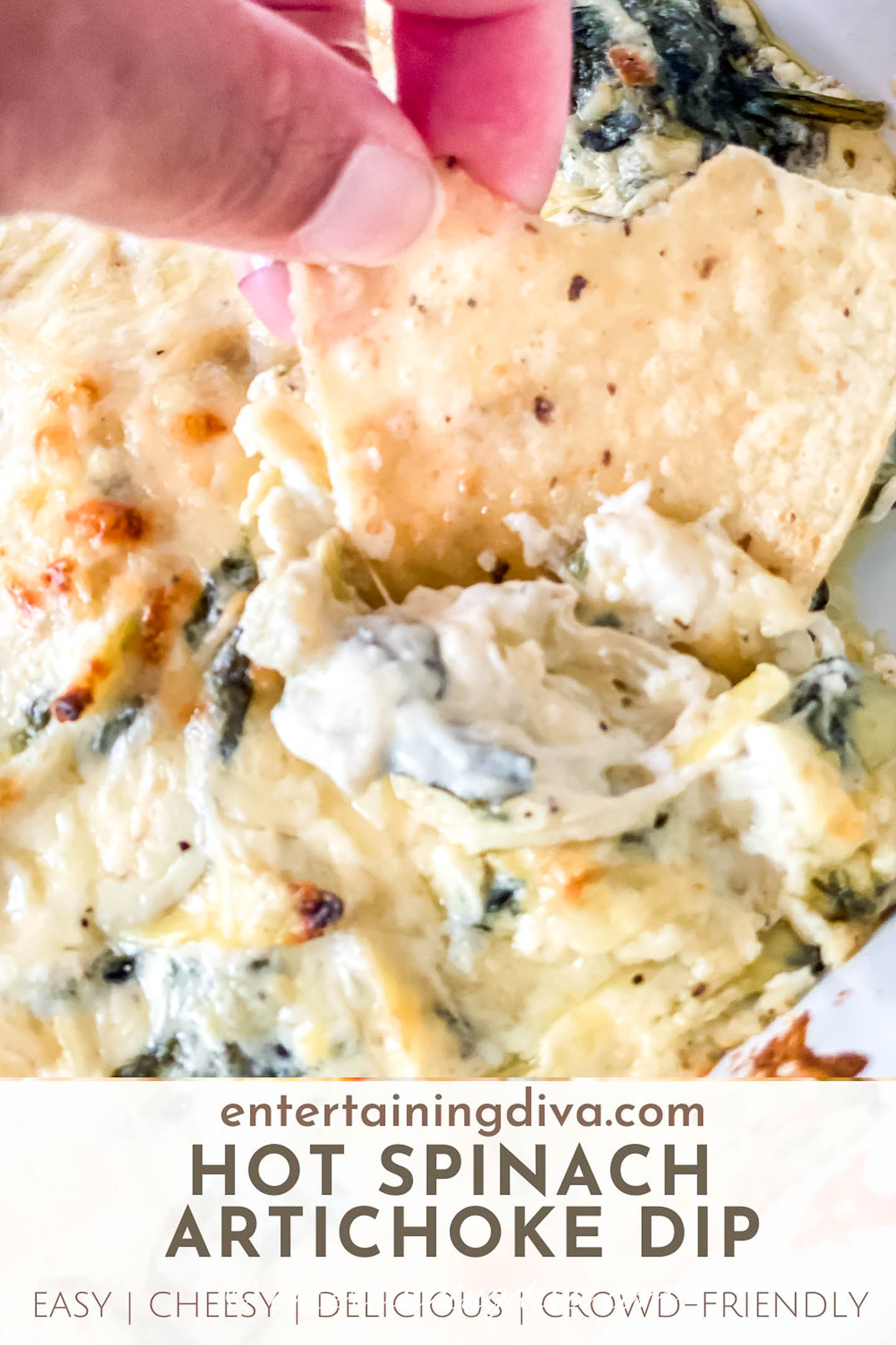 hot spinach artichoke dip with a tortilla chip dipped in it