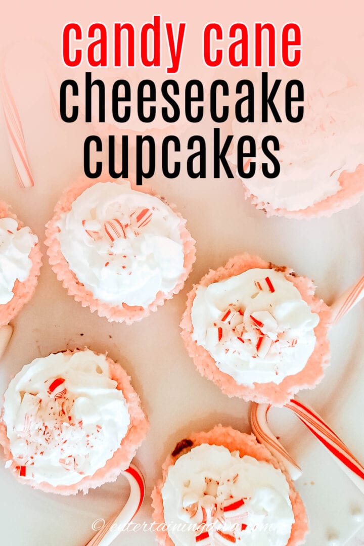 candy cane peppermint cheesecake cupcakes