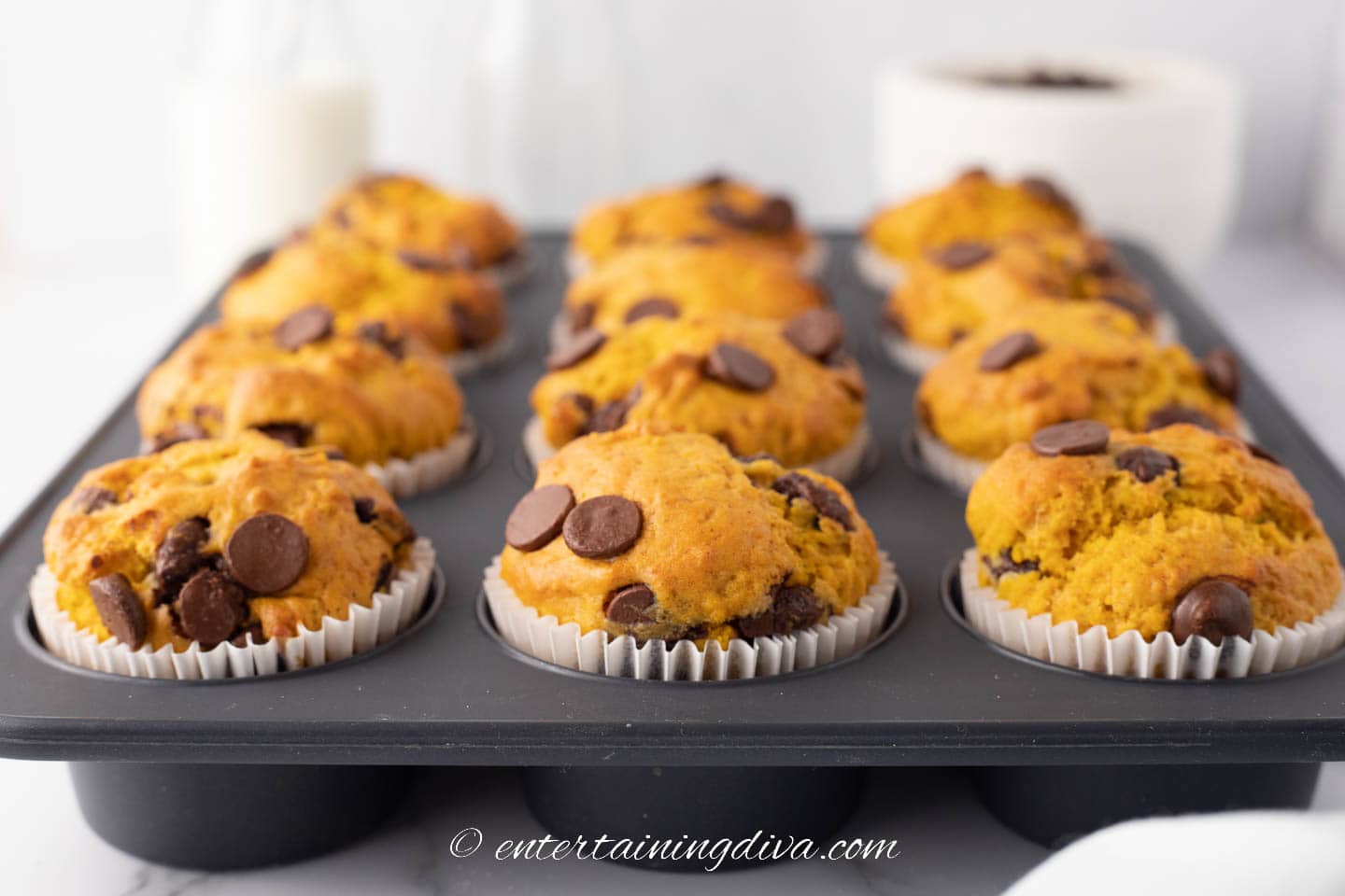 pumpkin chocolate chip muffins in a muffin tin after baking