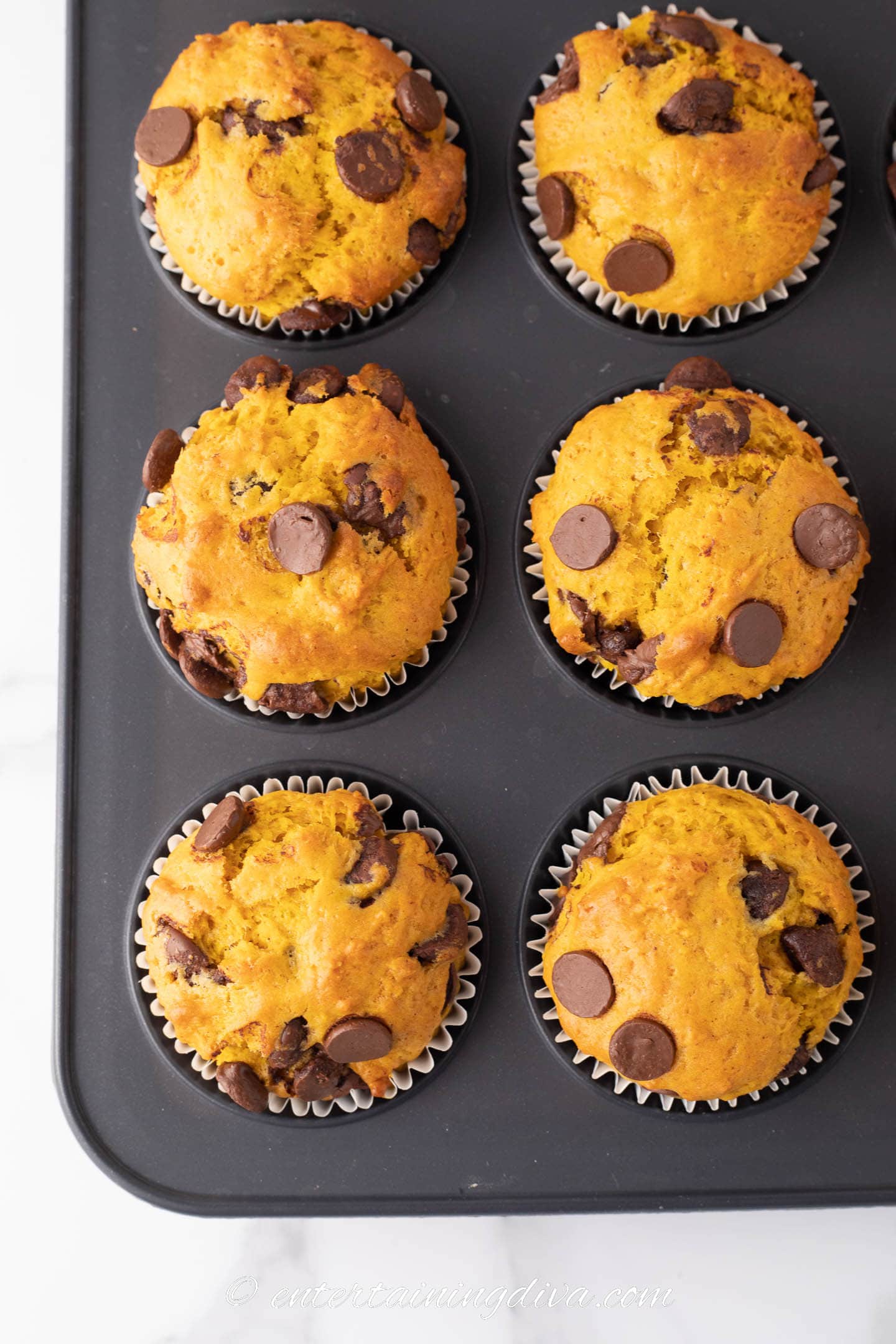 Close up of 6 chocolate chip pumpkin muffins in a muffin tin