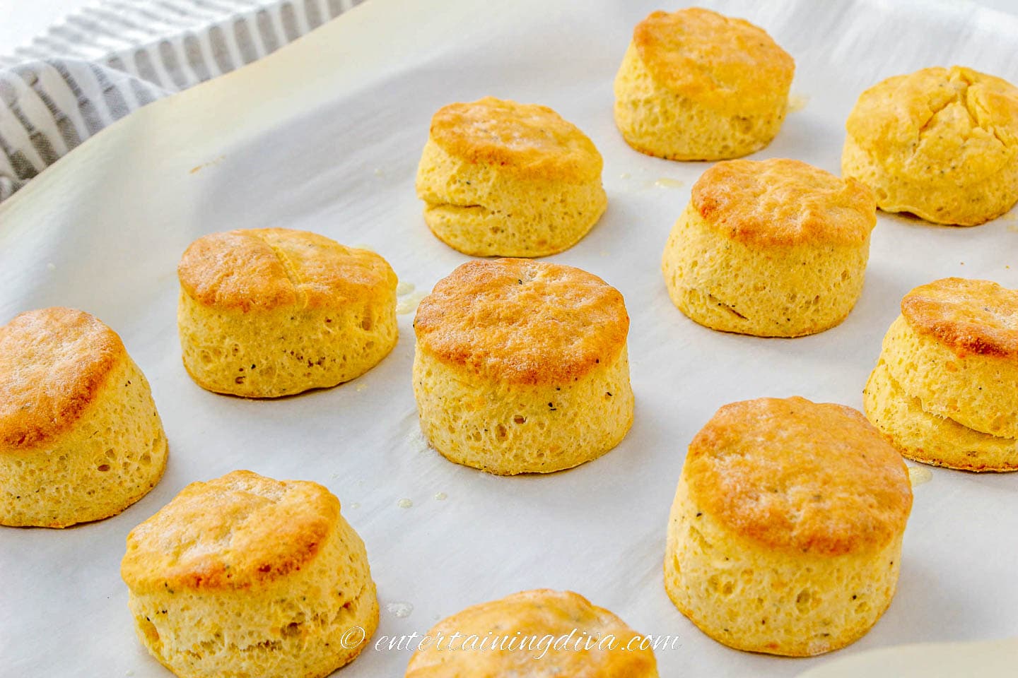cheddar cheese biscuits on a baking sheet after coming out of the oven