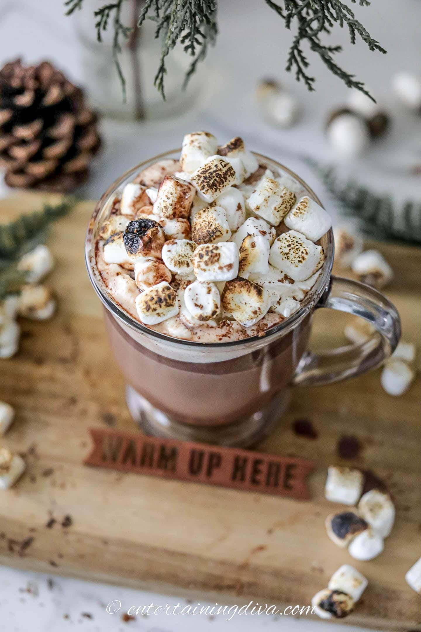 A cup of hot cocoa with toasted mini marshmallows