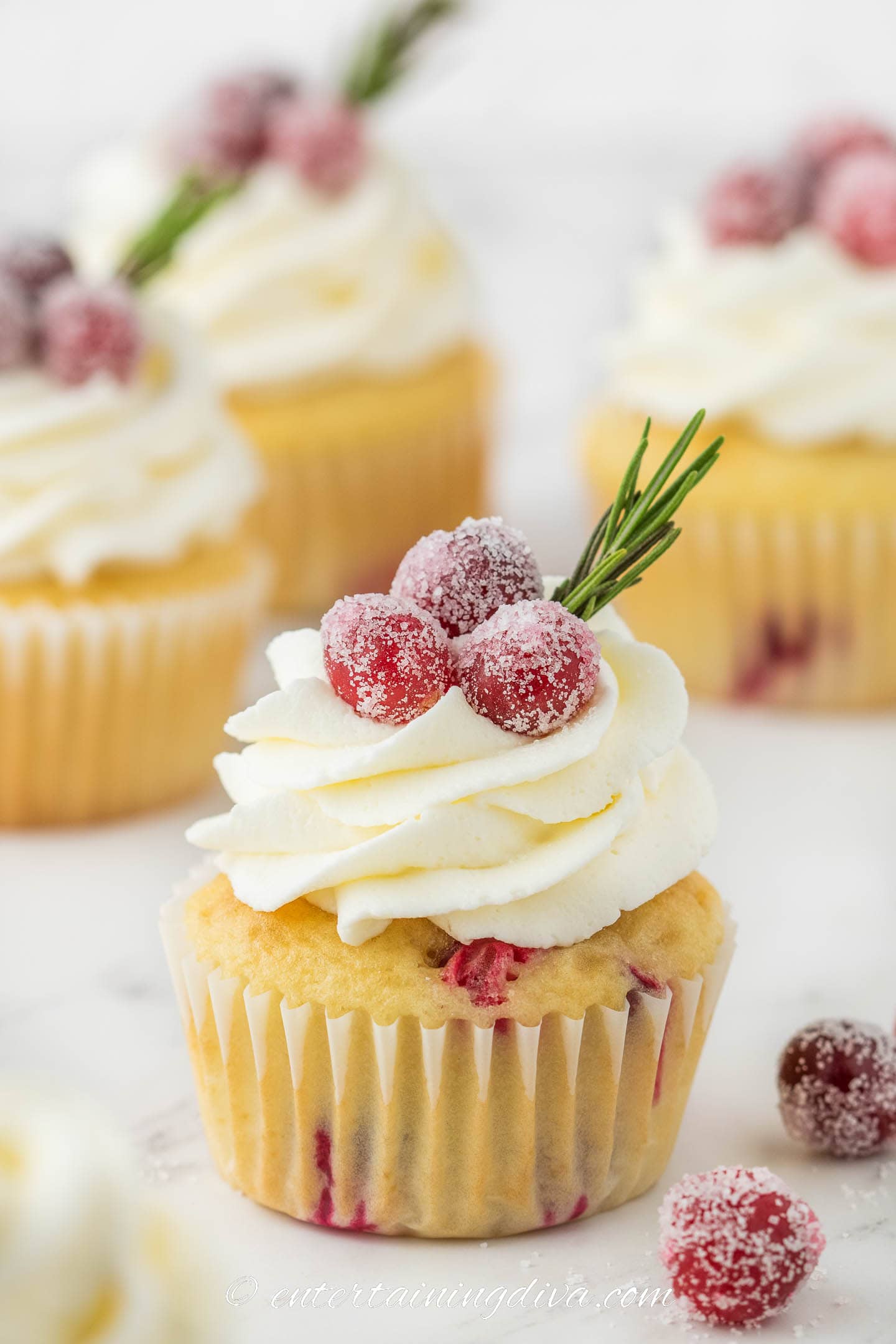 white chocolate cranberry cupcake with sugared cranberry garnish in front of other cupcakes