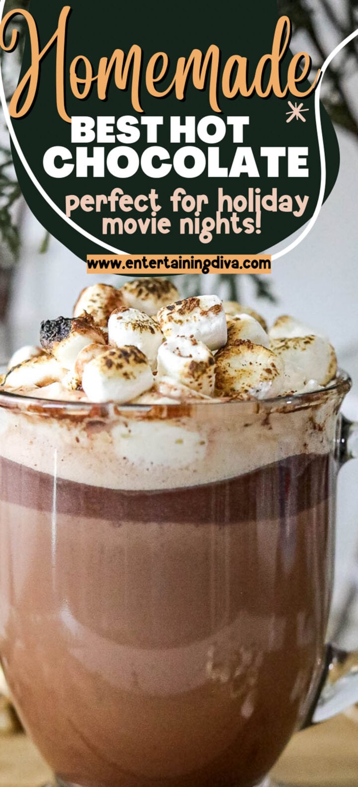 Best Homemade Hot Chocolate With Marshmallows