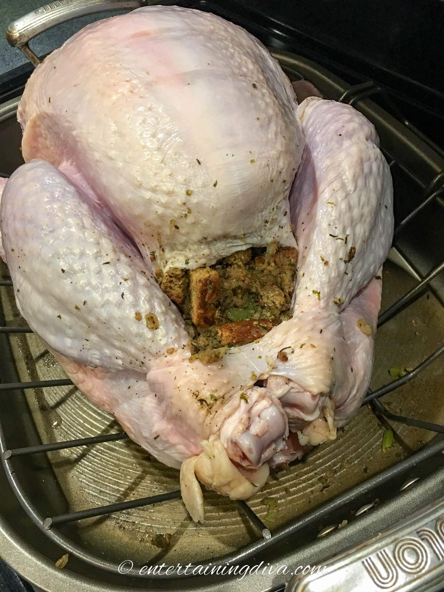 Turkey with legs tied