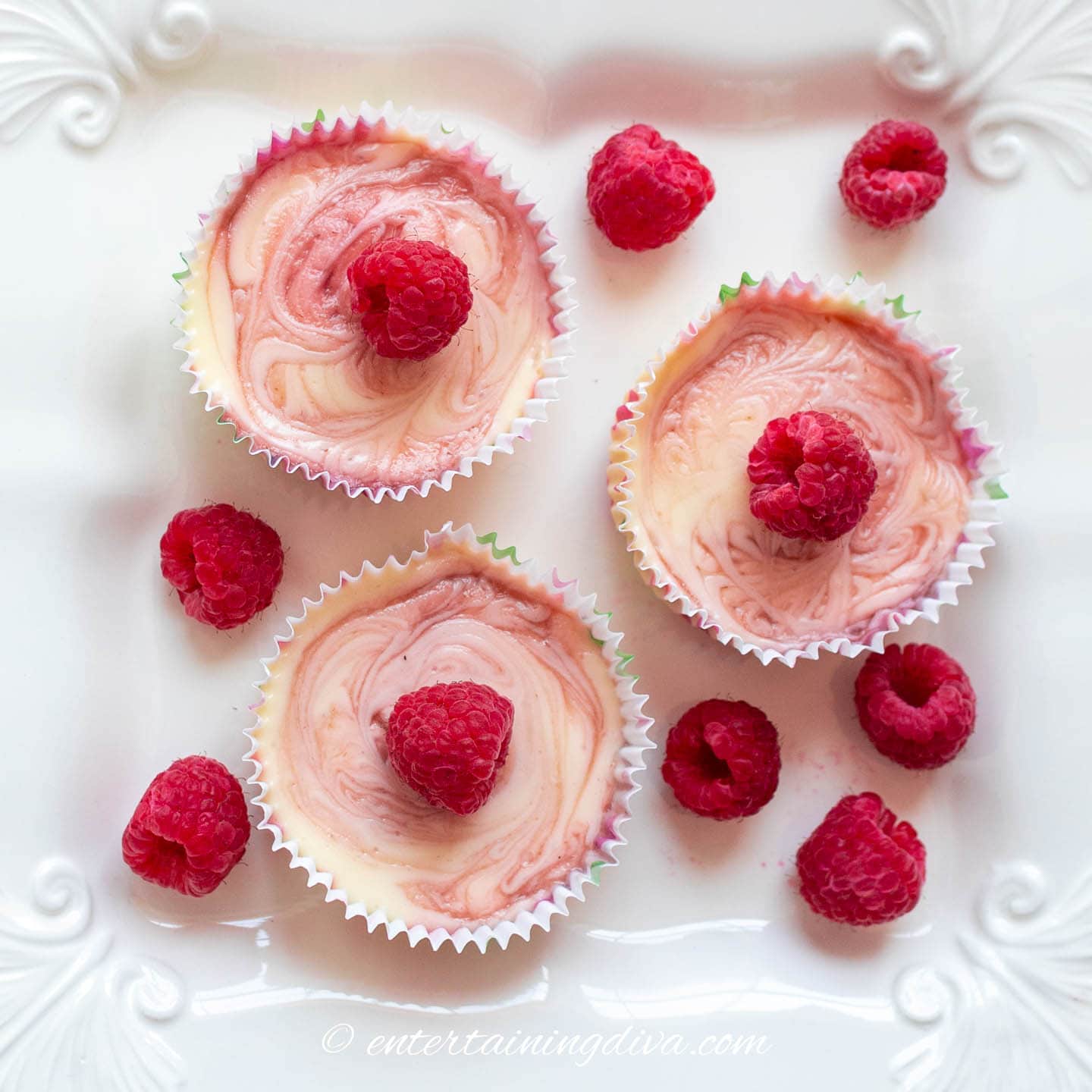 Three raspberry swirl mini cheesecakes on a white plate with raspberries