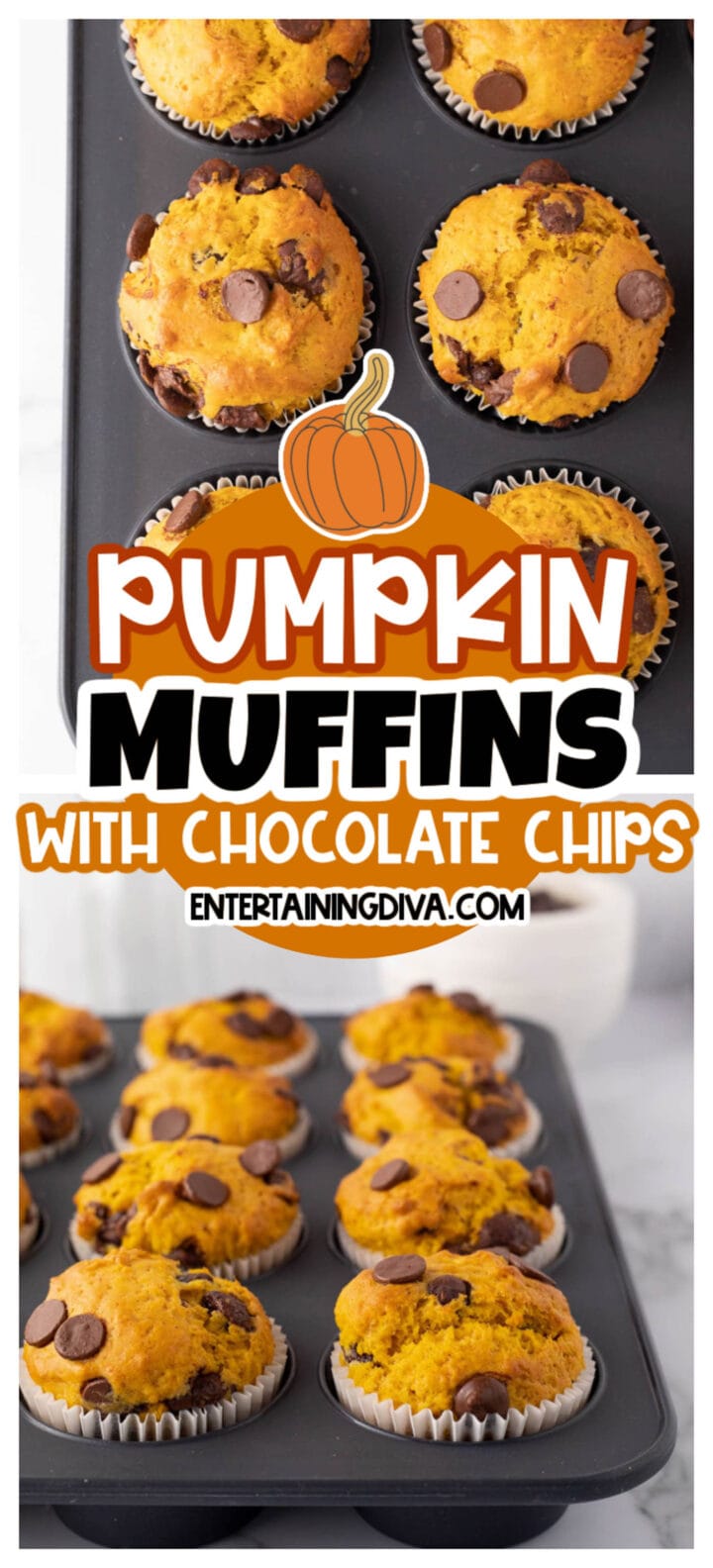 Pumpkin muffins with chocolate chips.