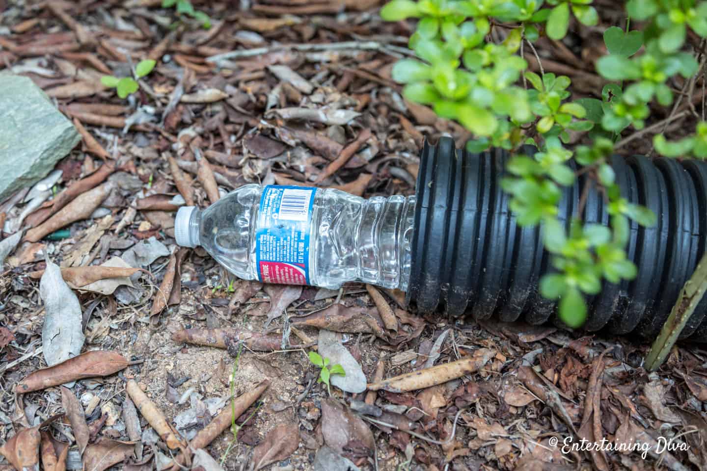 Frozen water bottle in the drainage pipe