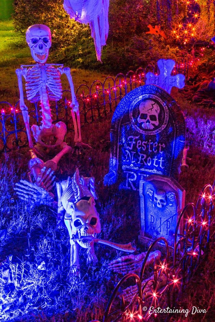 Skeleton and dog skeleton in Halloween graveyard
