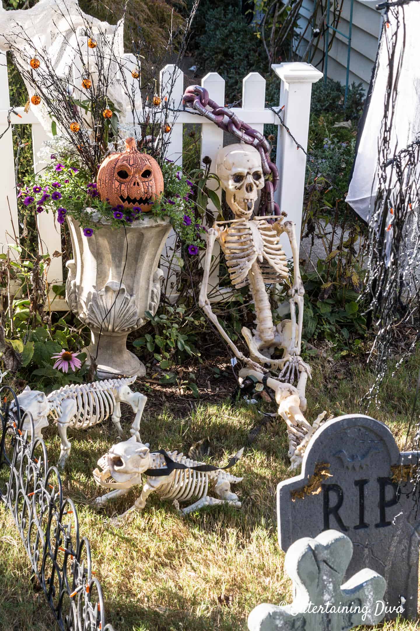 Halloween graveyard with a skeleton, dog skeletons and chains on the fence behind