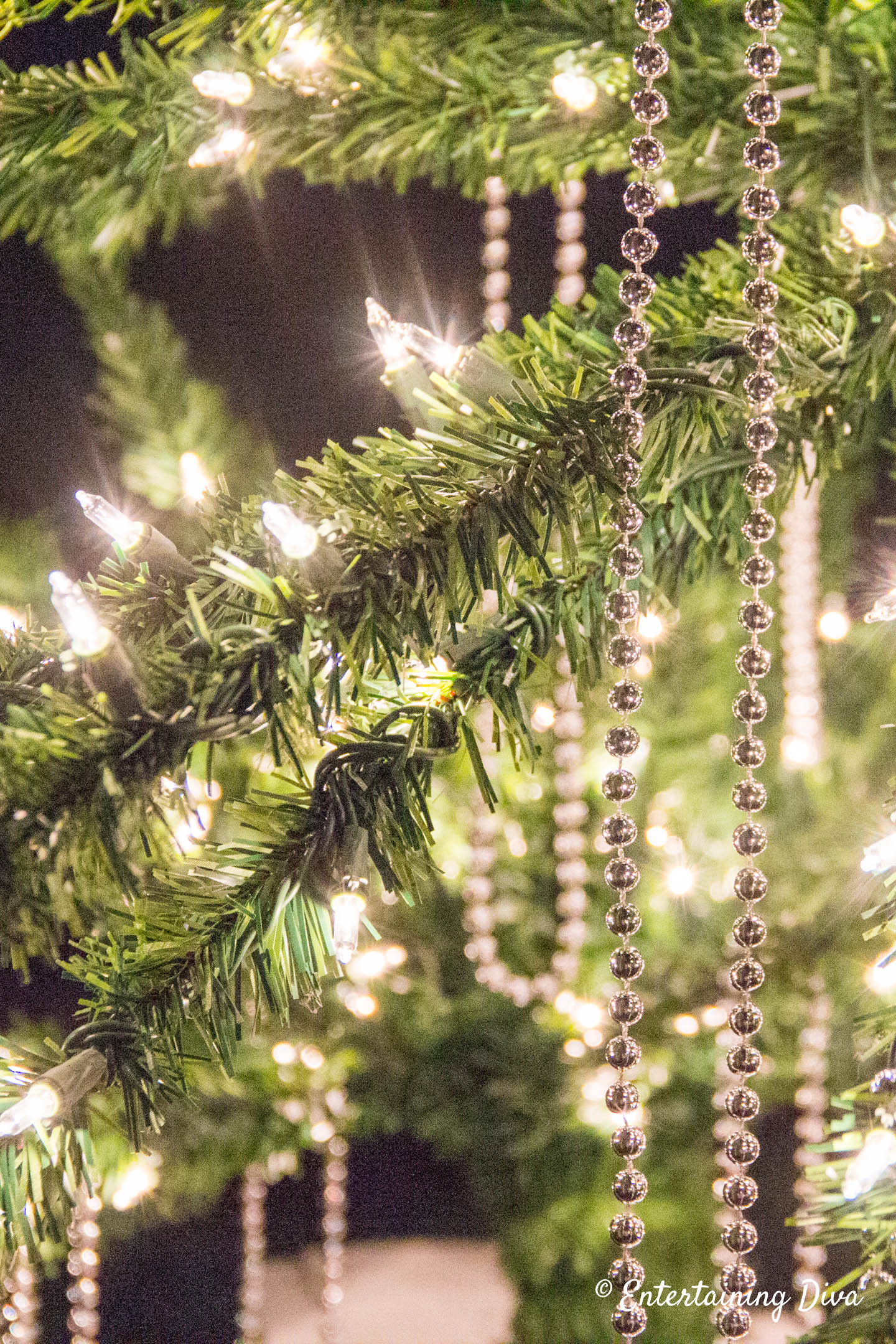 Mardi gras beads hanging from tree branches