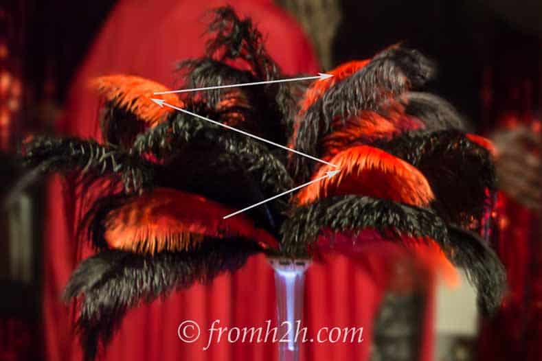 black and red ostrich feathers in a vase showing the lines of how to arrange the colors