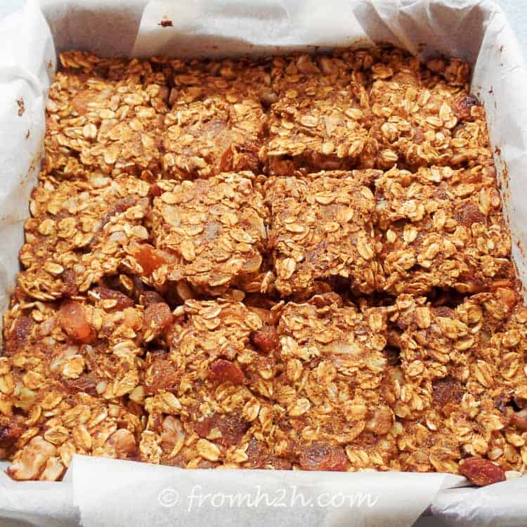 Sugar Free Granola Bars