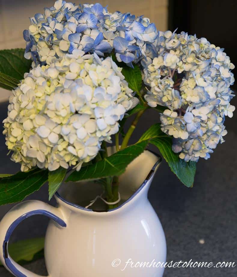 A twist tie keeps the stems close together | Hydrangea-inspired Blue and White Tablescape | If you're looking for Easter dinner or spring table ideas, this blue and white table setting has a hydrangea centerpiece that is perfect for the occasion. The blue and white place setting is really pretty, too.