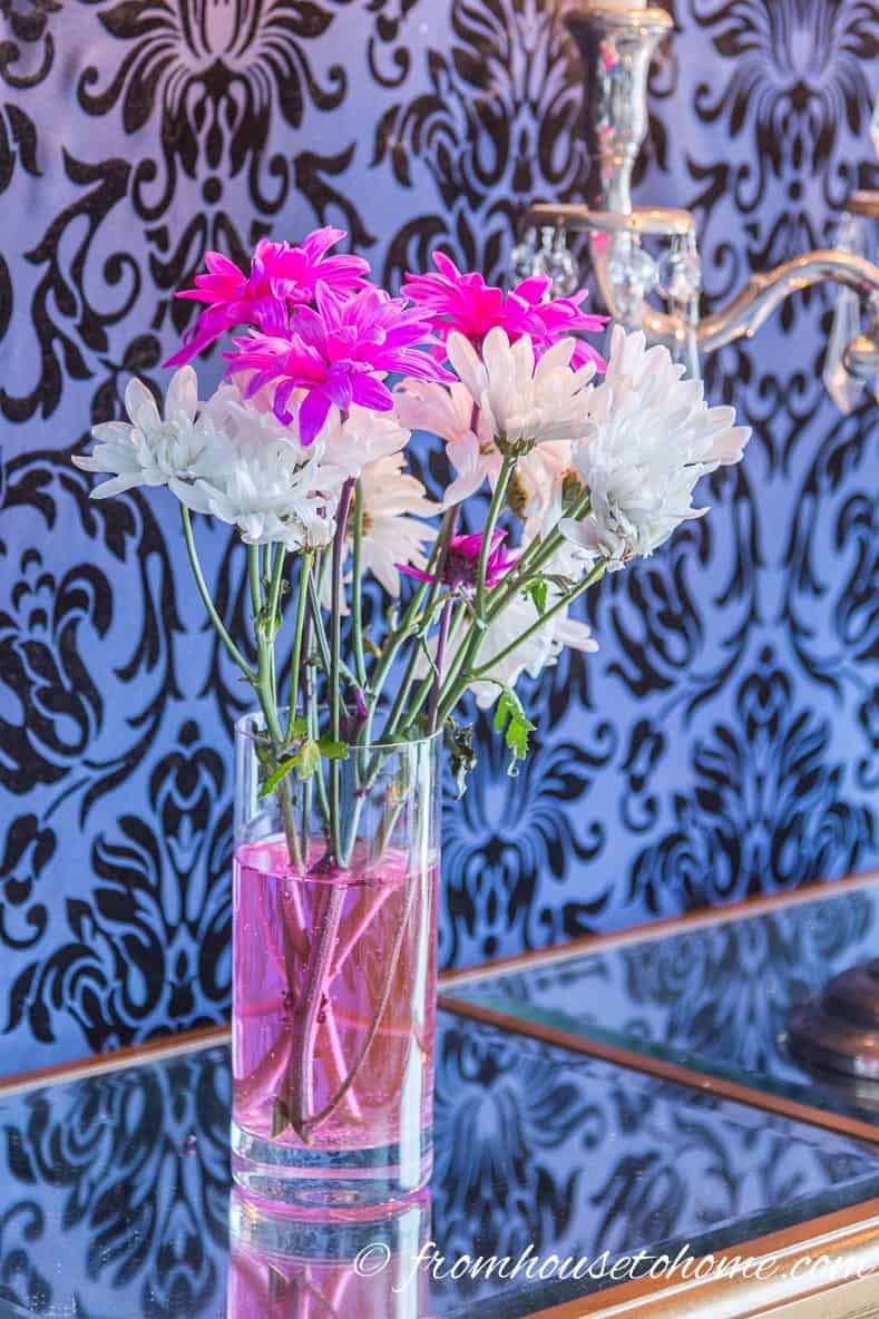 Close up of white and pink daisies in a glass with pink water