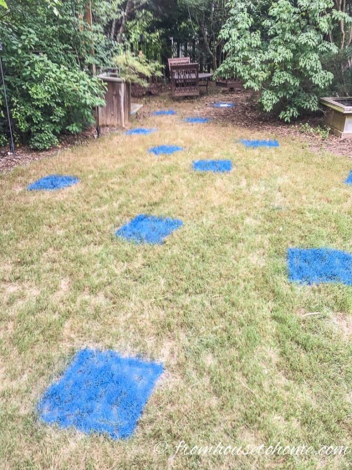 The backyard with many blue squares painted on the grass