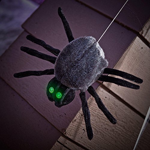Motion activated dropping spider