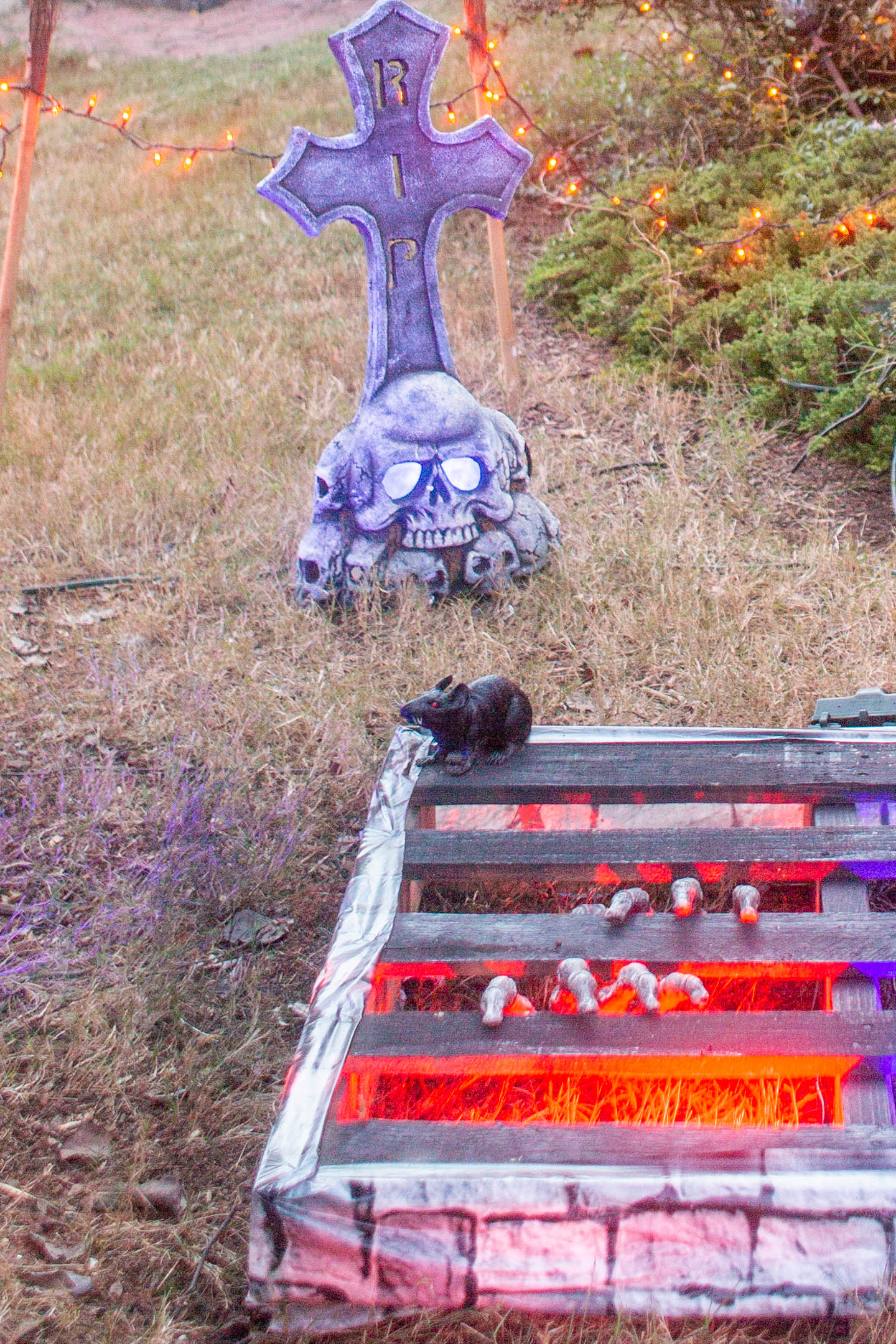 Fake rat sitting on a dungeon prop in a Halloween graveyard