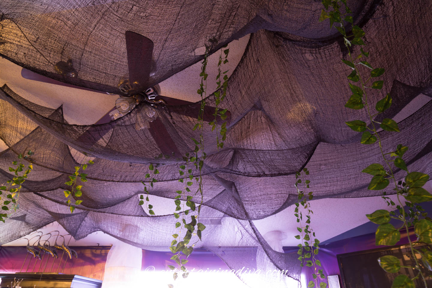 Faux vines hung from the black creepy cloth