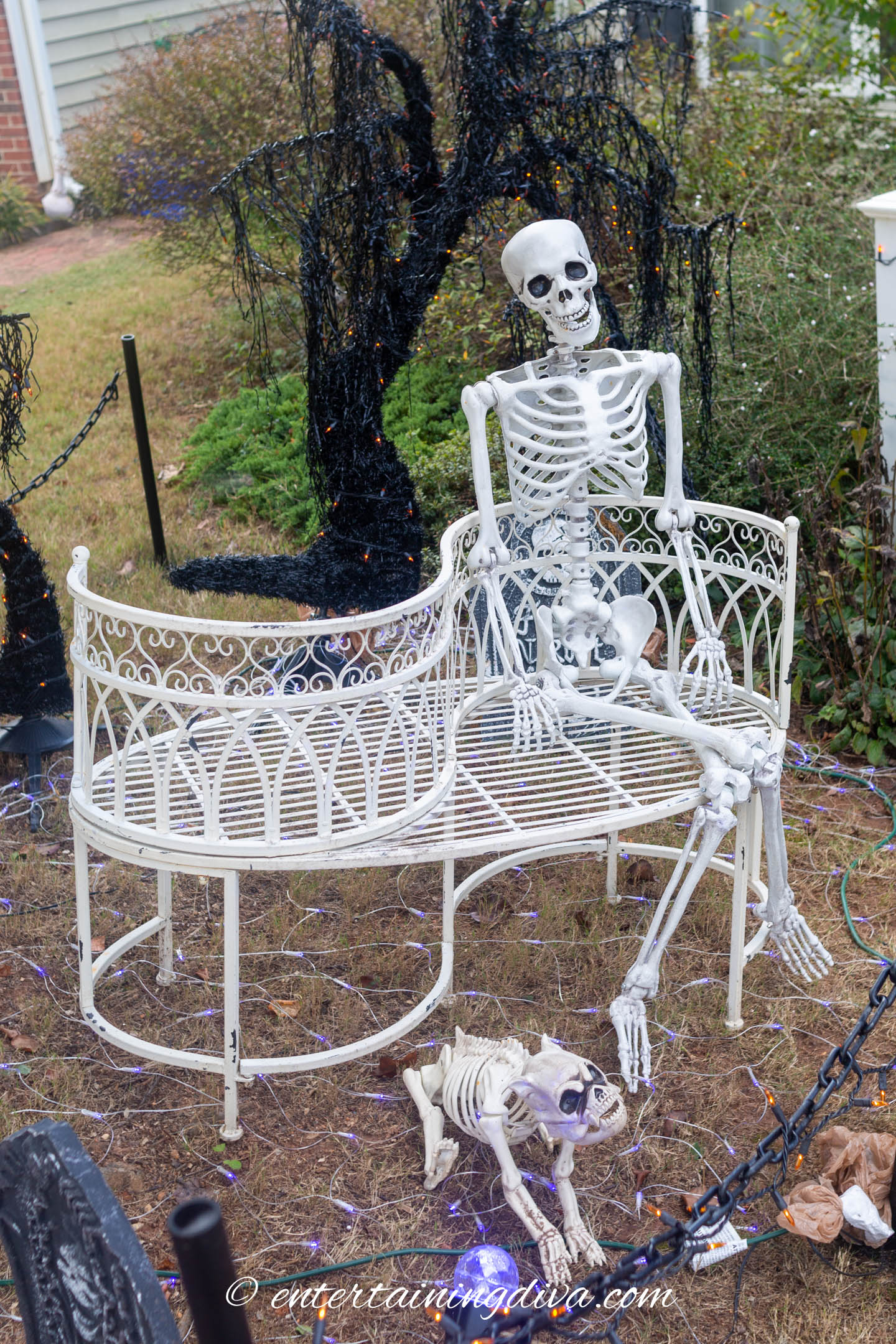 Skeleton sitting on a garden bench with a skeleton dog