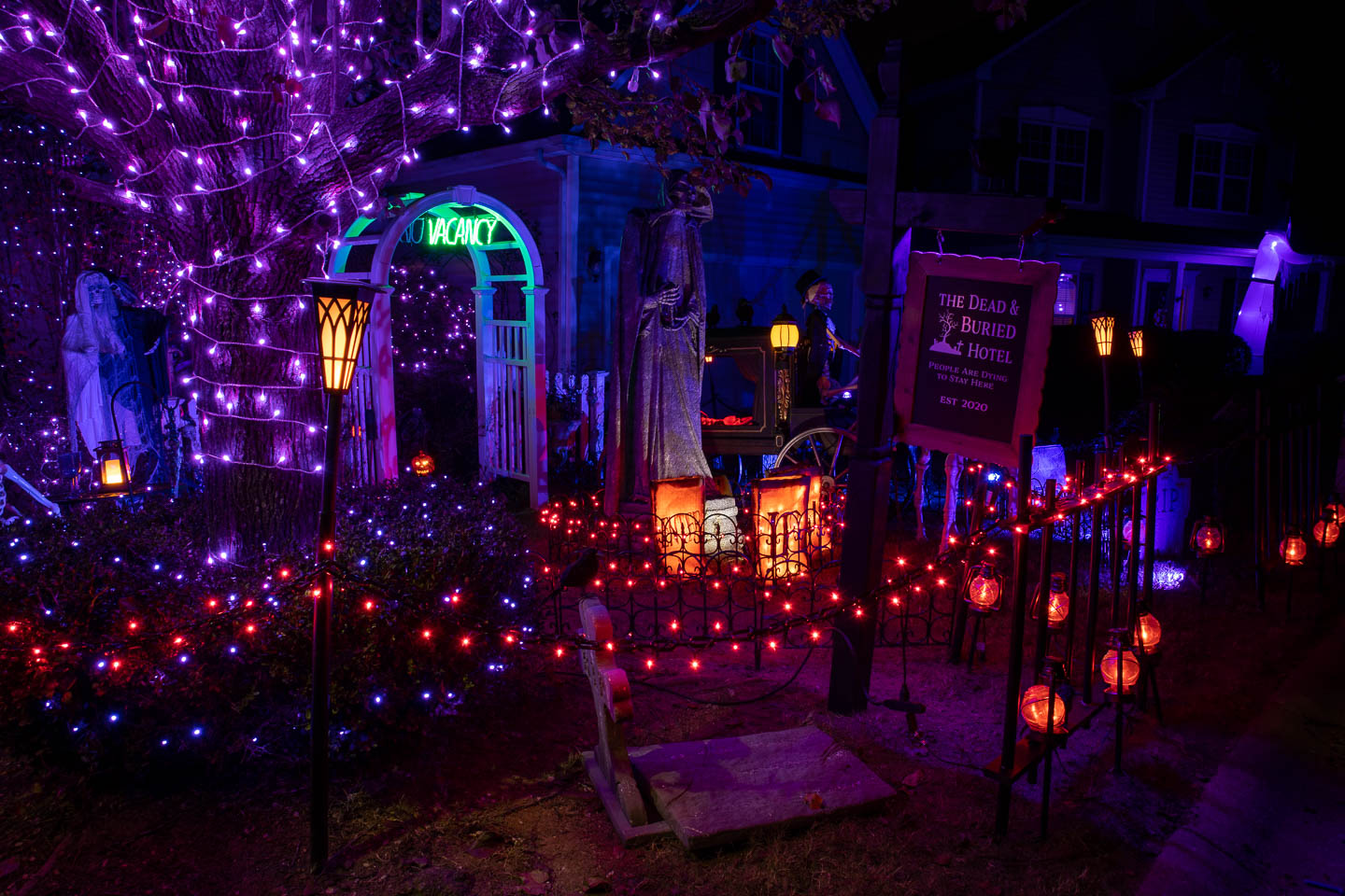 Purple and orange string lights lining the walkway and outlining the trees and bushes for an outdoor Halloween yard display