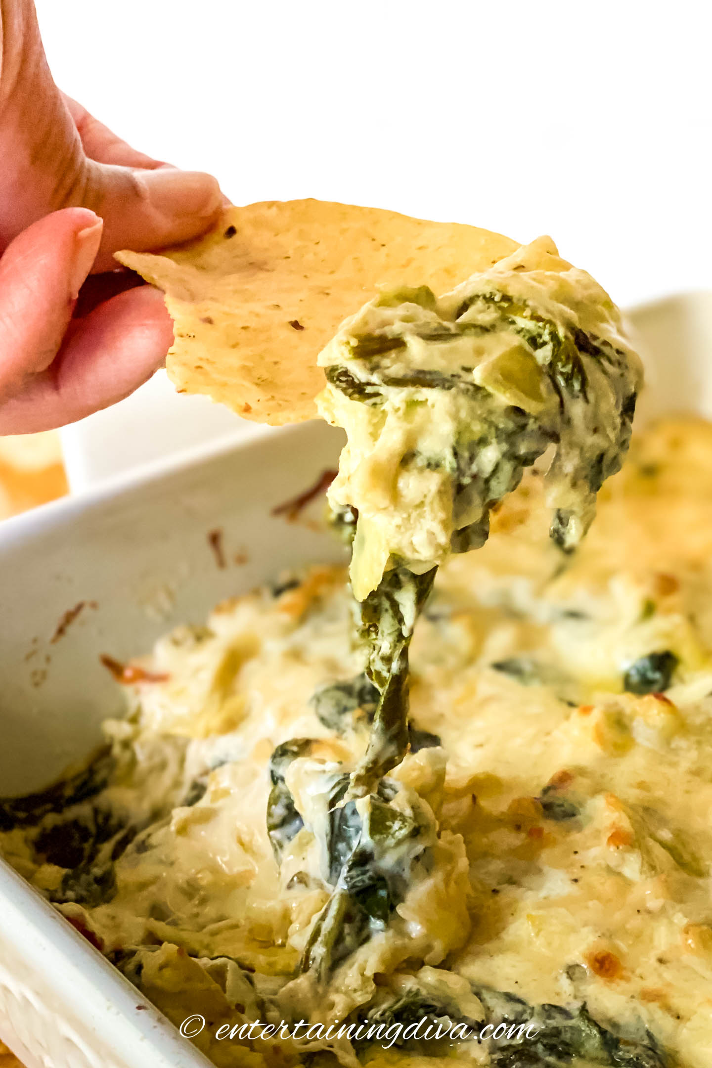 tortilla chip dipped in hot spinach artichoke dip