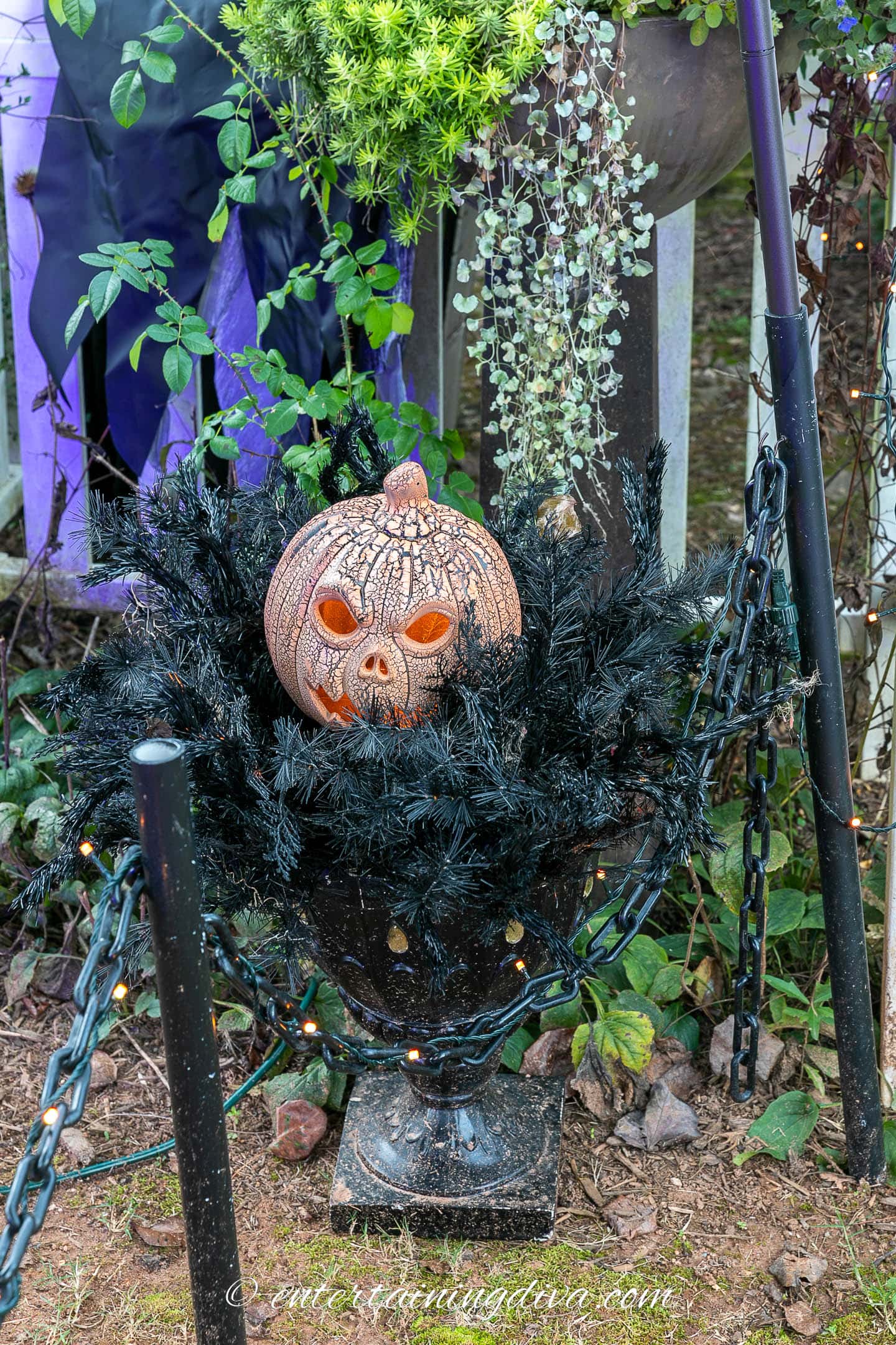 Halloween pumpkin in a planter with black filler
