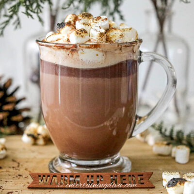hot chocolate with marshmallows and whipped cream