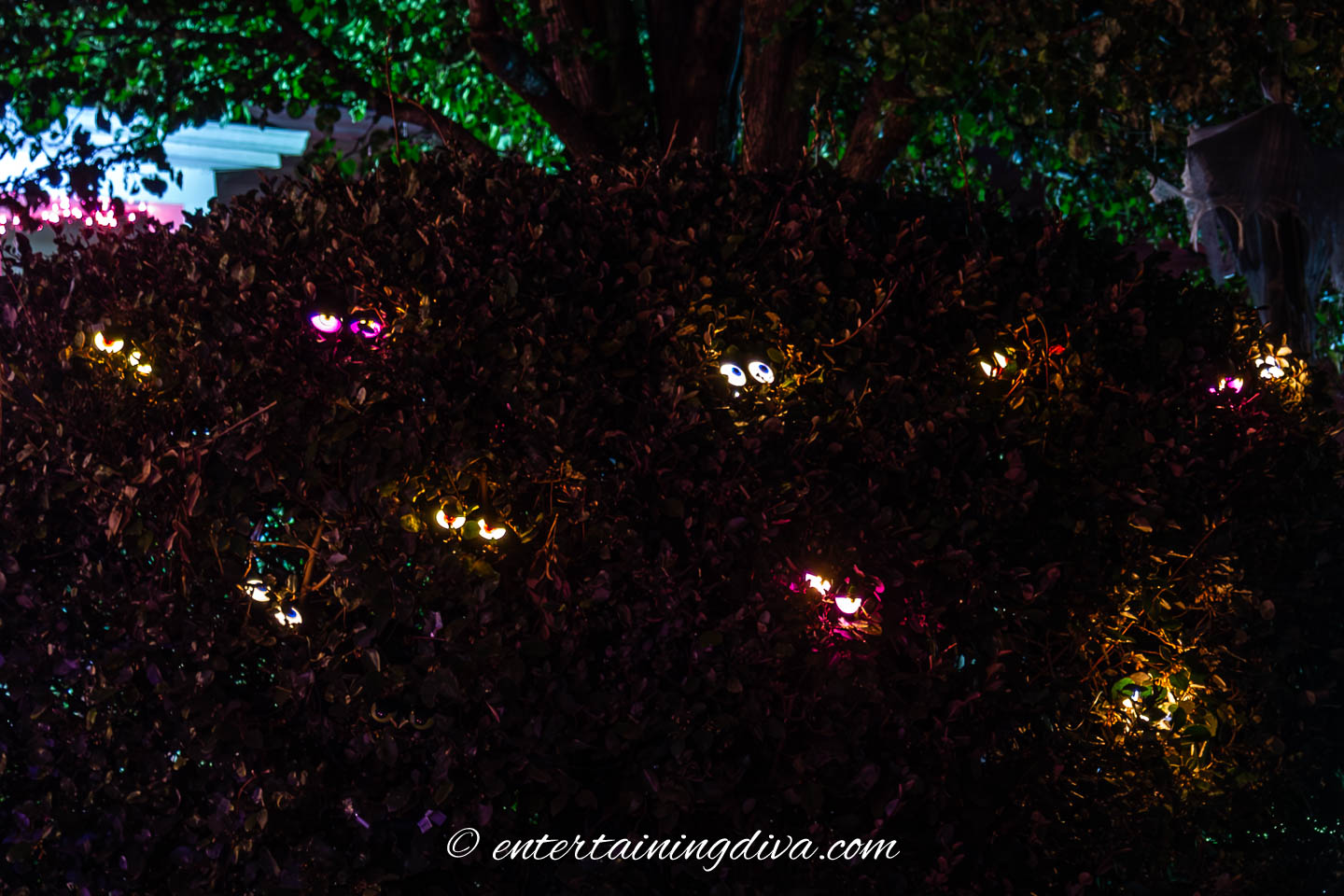 Spooky Halloween outdoor lighting with blinking eyes in a bush