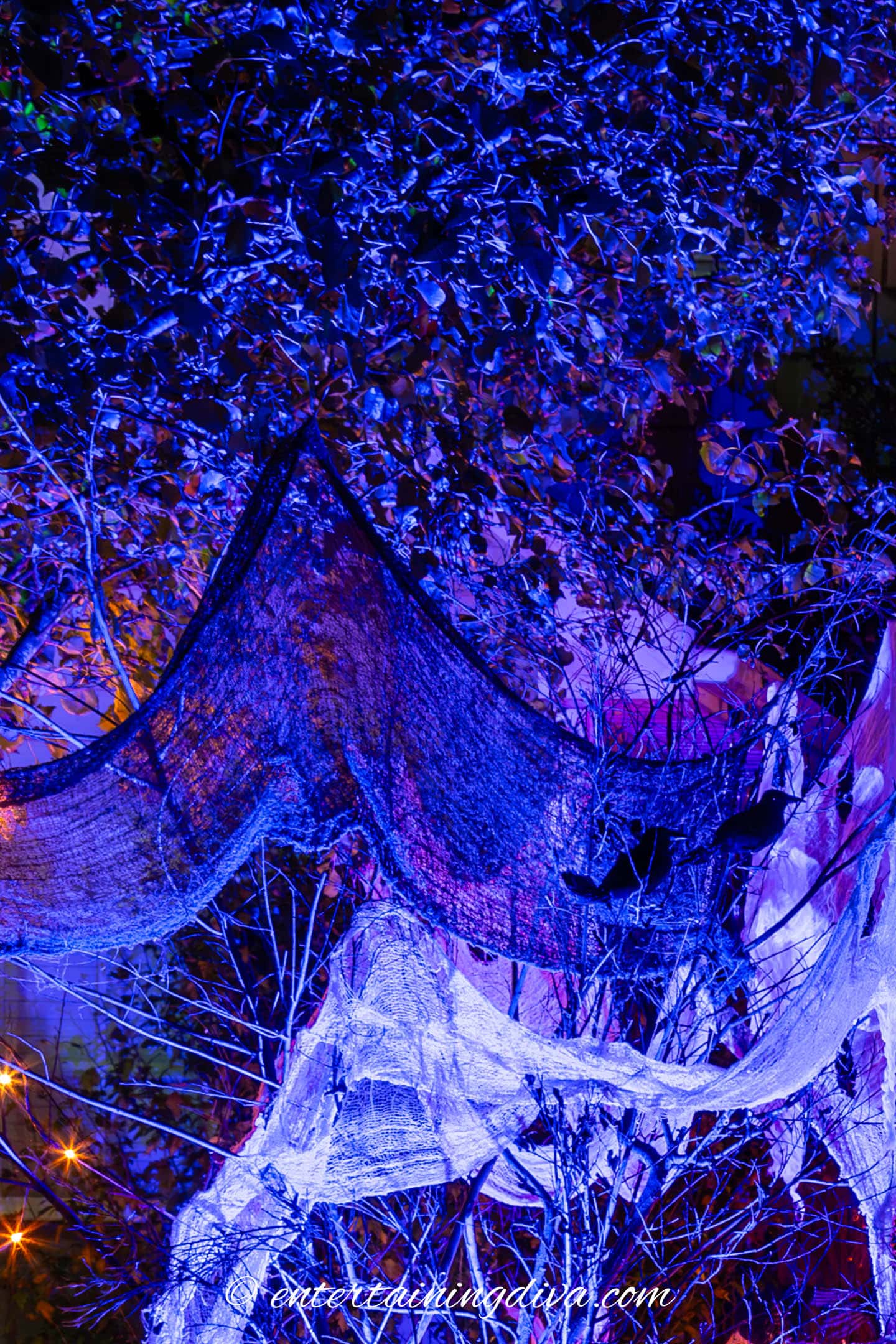Trees and creepy cloth with a blue up light for Halloween