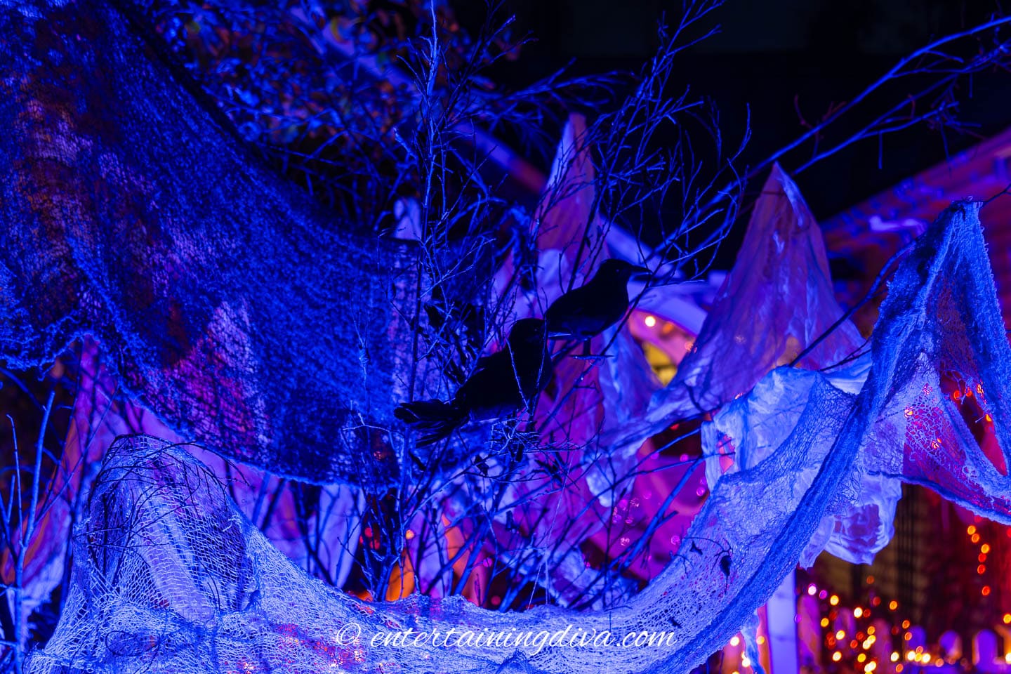 Spooky outdoor Halloween decor created with crows, creepy cloth and a blue spotlight