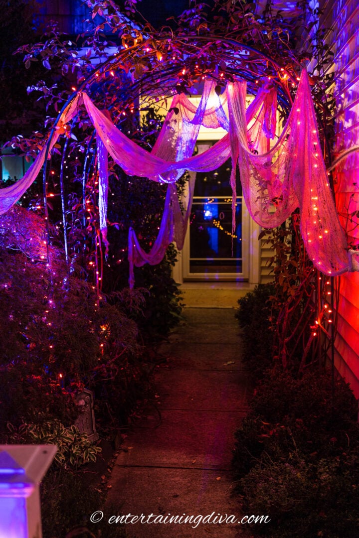 Orange and purple Halloween lights with creepy cloth on an arbor over a walkway