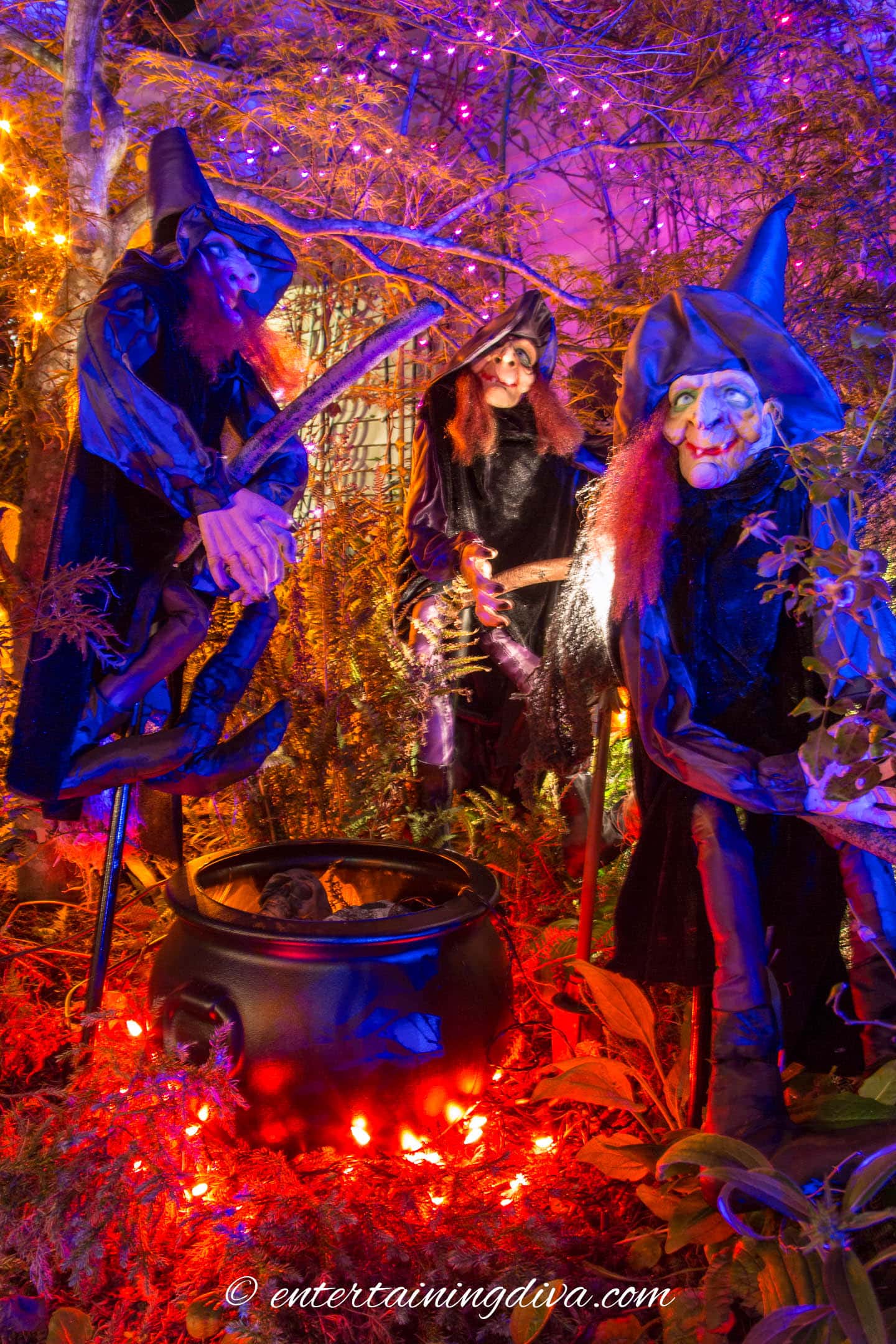 A group of witches brewing potions in front of a cauldron, illuminated by Halloween outdoor lighting.