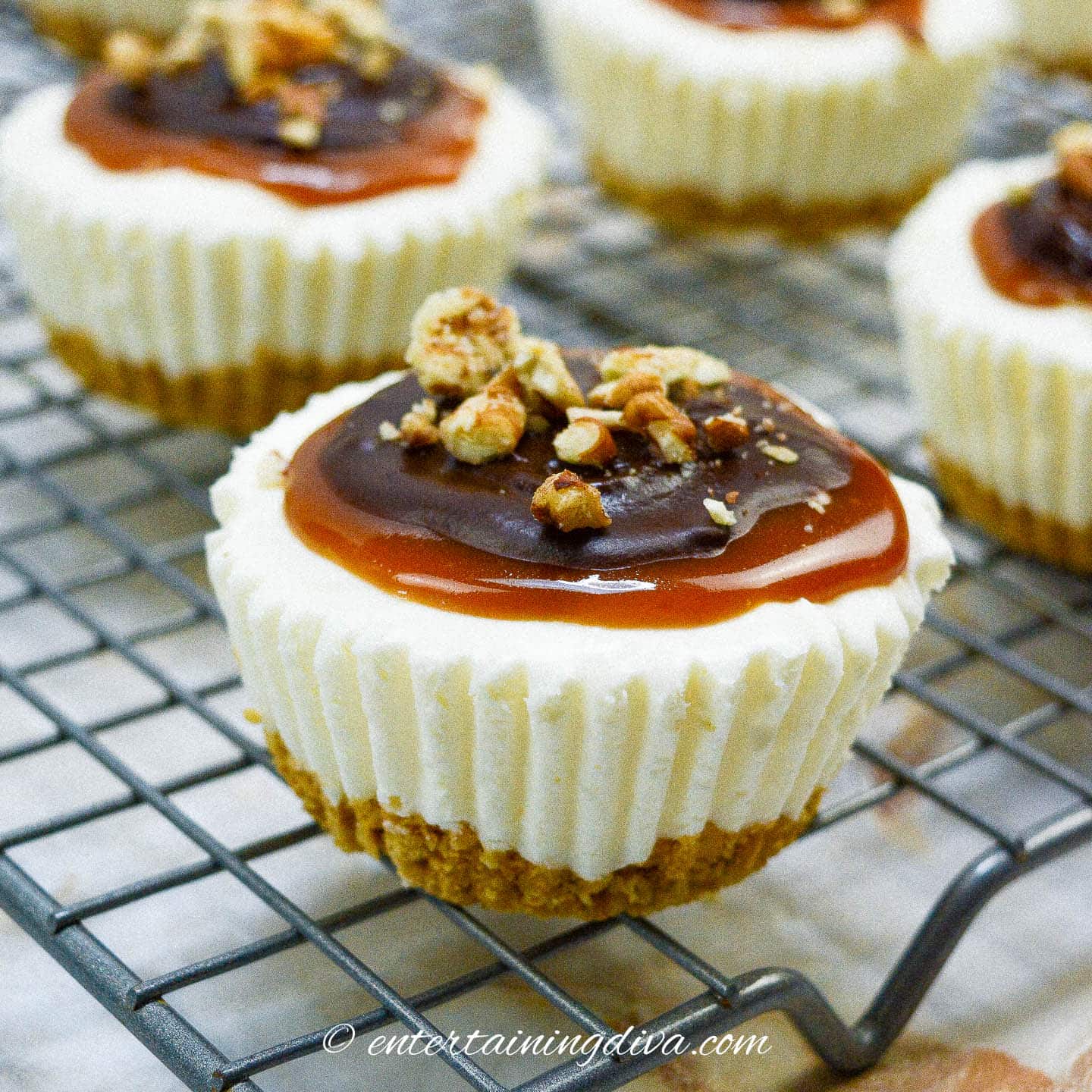 No Bake Turtle Mini Cheesecakes