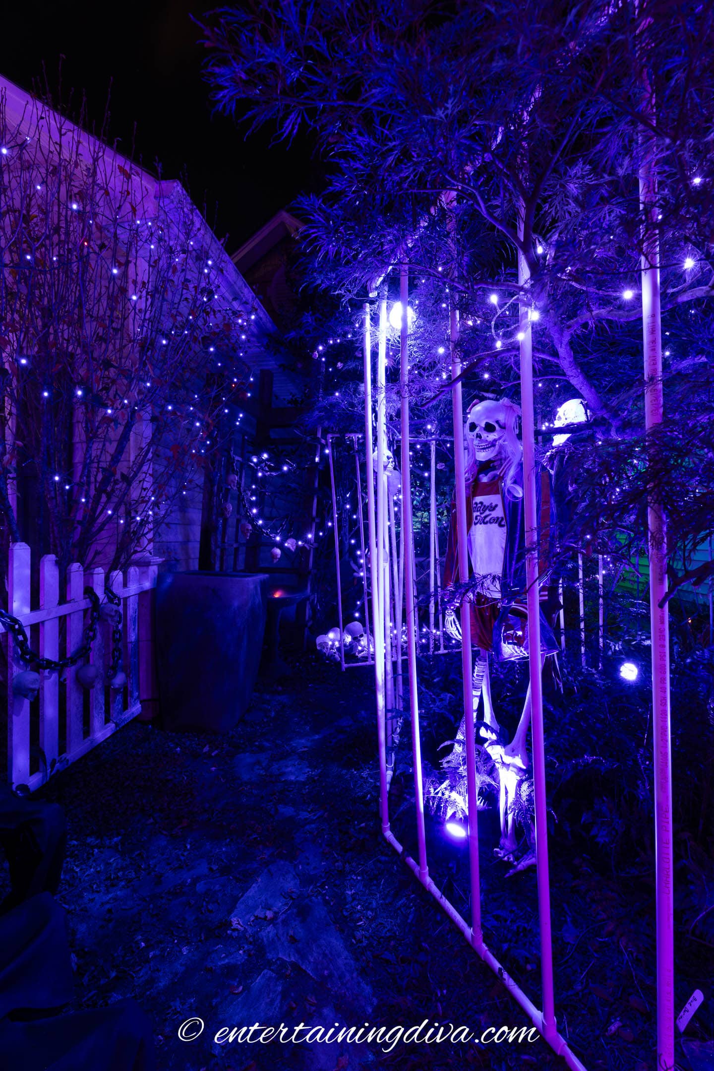 A skeleton dressed as Harley Quinn behind Arkham asylum bars made from PVC pipes