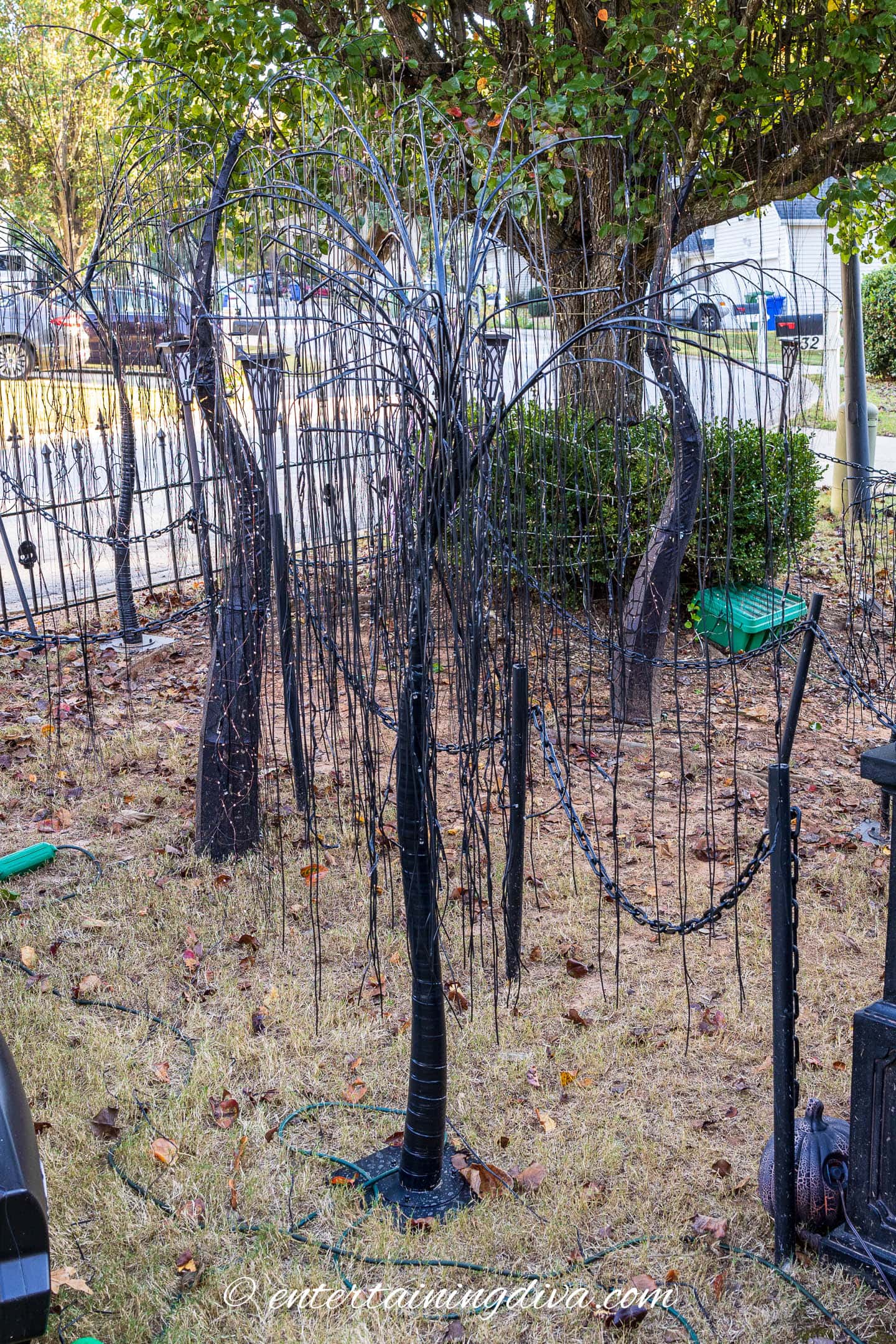 Weeping spooky trees in the Halloween front yard