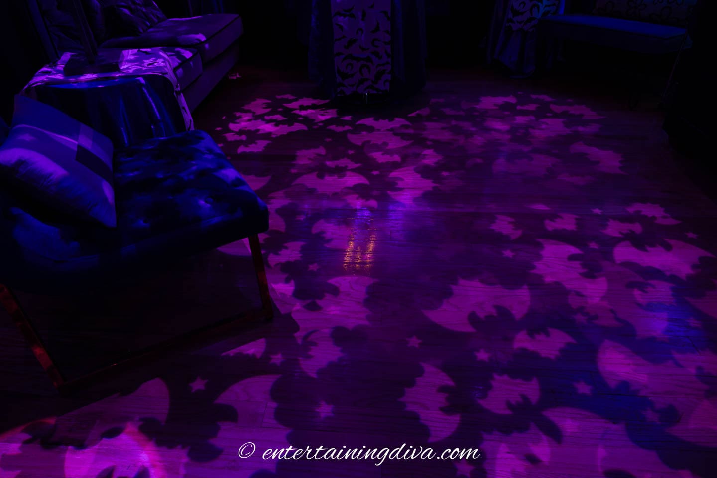 bat images on the floor