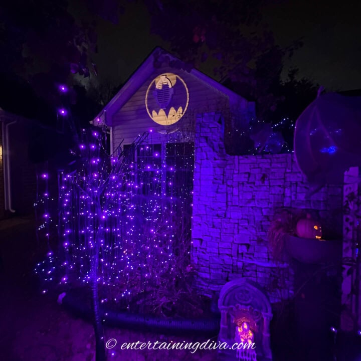 Batman Arkham Asylum outdoor Halloween decorations with purple spooky trees and bat signal
