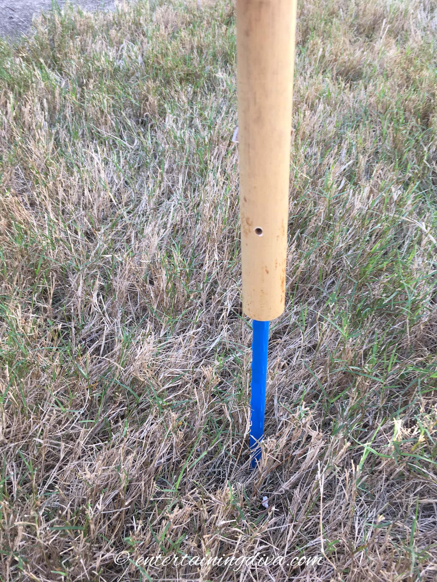 PVC pipe going over a garden stake in the ground