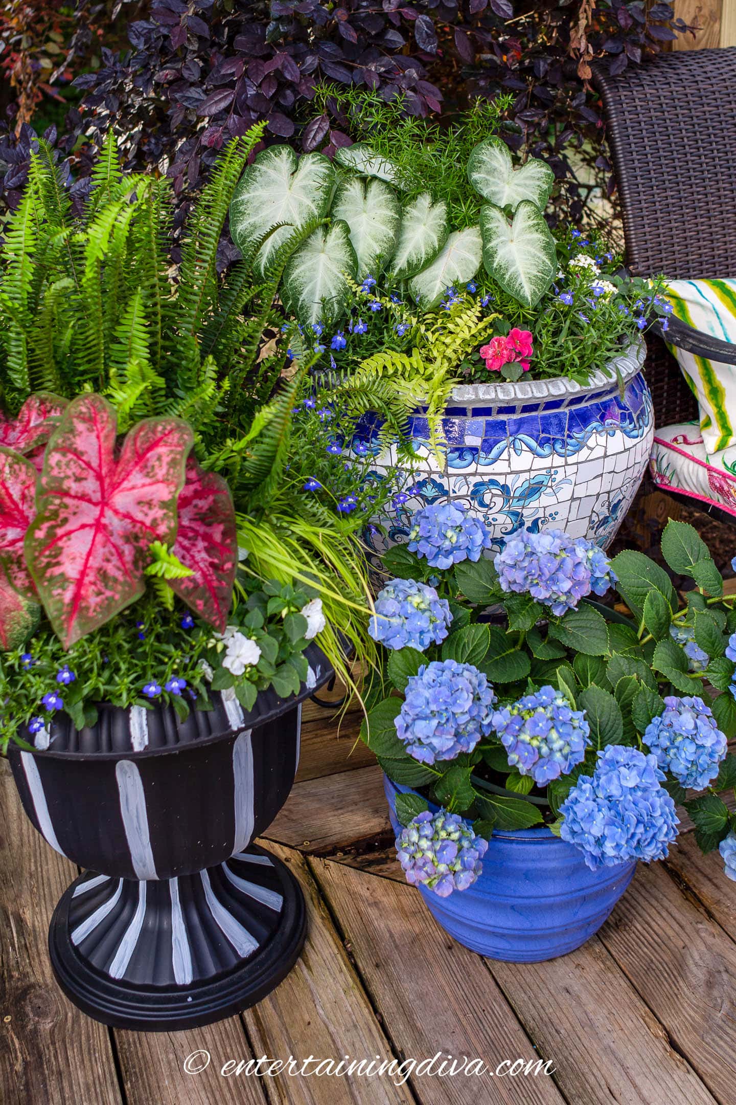 Planters with red, white and blue plants for the 4th of July