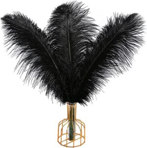 black ostrich feathers
