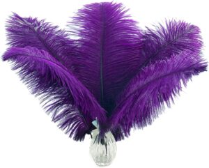 purple ostrich feathers