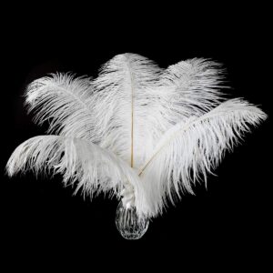 short white ostrich feathers