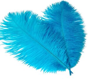 turquoise ostrich feathers