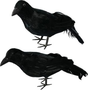 crows