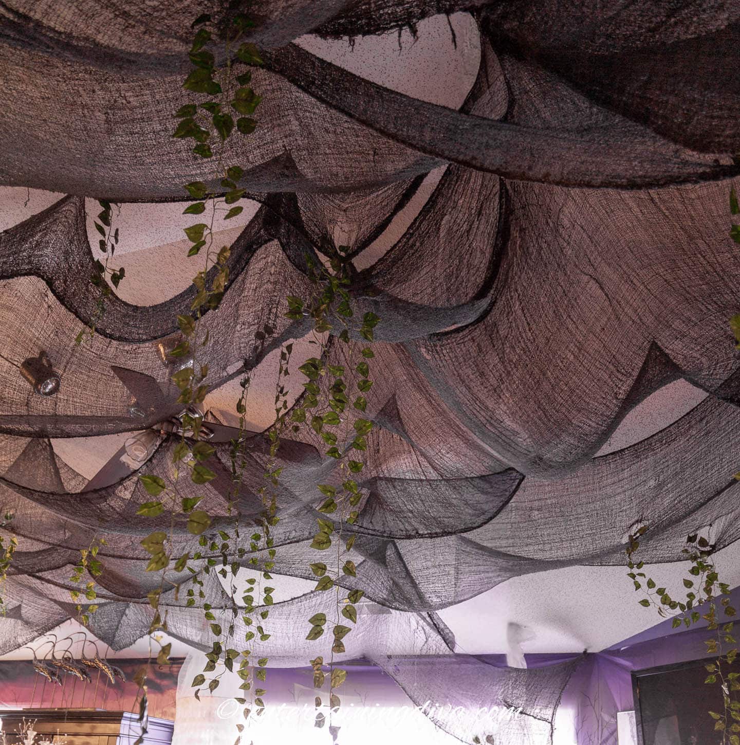 Black creepy cloth covering the entire ceiling with some vines hanging down from it