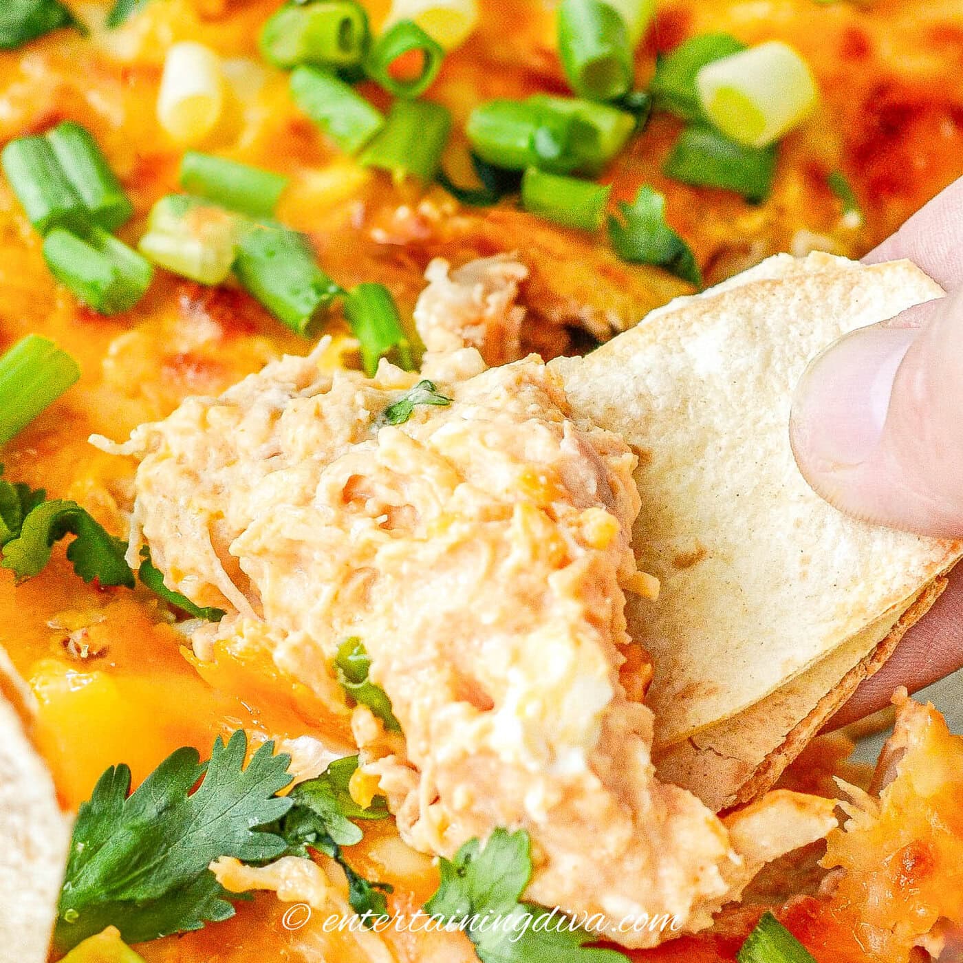 A hand dipping a tortilla chip into a cheesy chicken dip garnished with chopped green onions and cilantro.